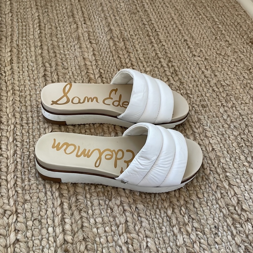 Sam Edelman Cloud Platform Slides - image 3